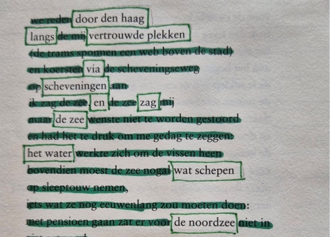 zwaaiend noodzee
