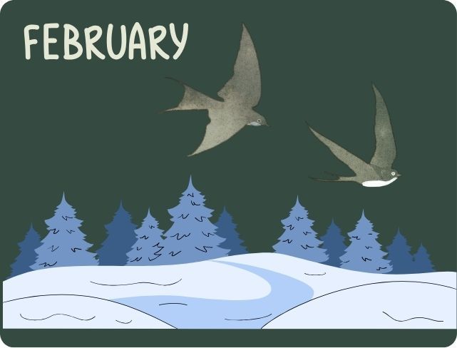 365 dagen februari